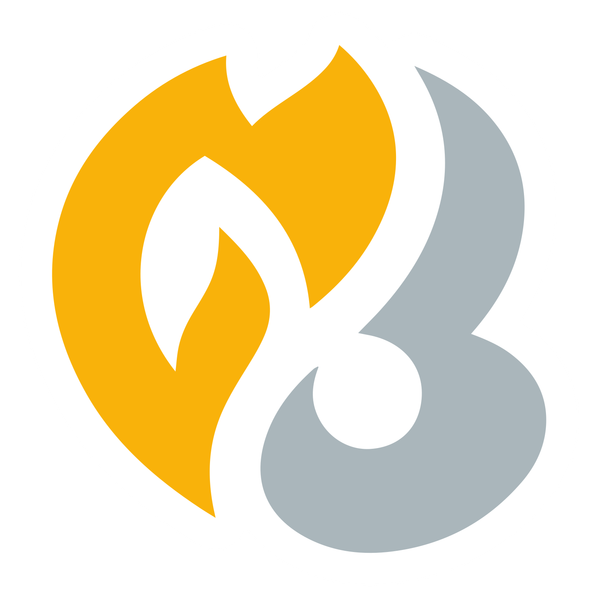 HeartGold & SoulSilver Set Symbol - HS